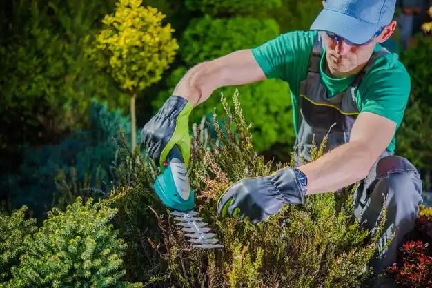 landscaping services Laurel